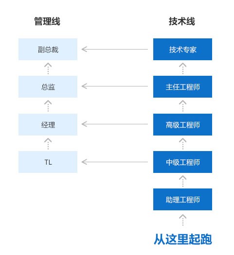 员工发展通道